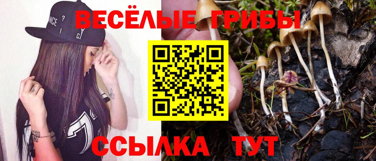 Галлюциногенные грибы Psilocybine cubensis  Вход с VPN  наркошоп  Ирбит 