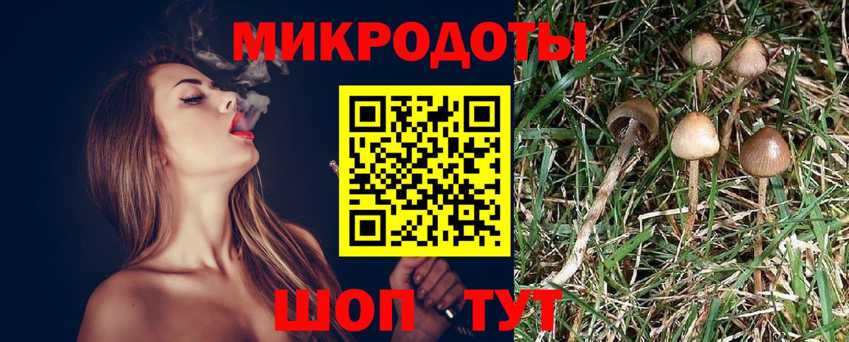 Псилоцибиновые грибы мухоморы Ирбит
