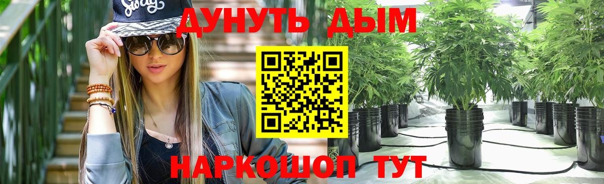 Бошки Шишки марихуана Ирбит